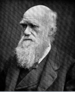 Wellcome Images images@wellcome.ac.uk http://wellcomeimages.org Portrait of Charles Darwin, head and shoulders. Half-tone Geschichte der organischen Naturwissenschaften im Neunzeehnten Jahrhundert Franz Carl Muller Published: 1902 Copyrighted work available under Creative Commons Attribution only licence CC BY 4.0 http://creativecommons.org/licenses/by/4.0/